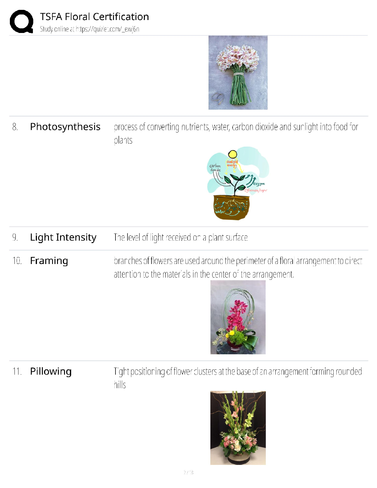 TSFA Floral Certification Exam Prep 2025/2026: The Ultimate Study Guide ...