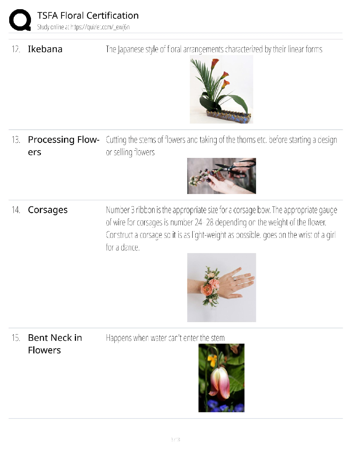 TSFA Floral Certification Exam Prep 2025/2026: The Ultimate Study Guide ...