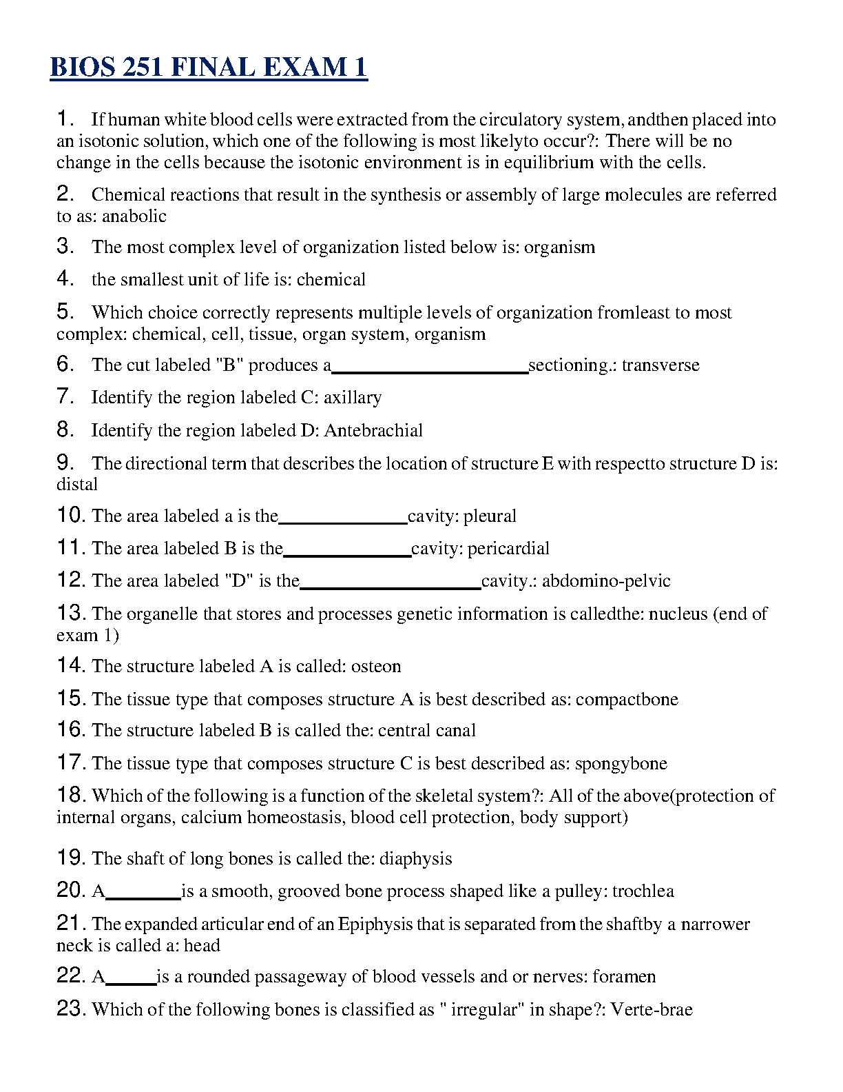 BIOS 251 Anatomy and Physiology I Final Exam 1 Test Bank (Q&A) | Based ...