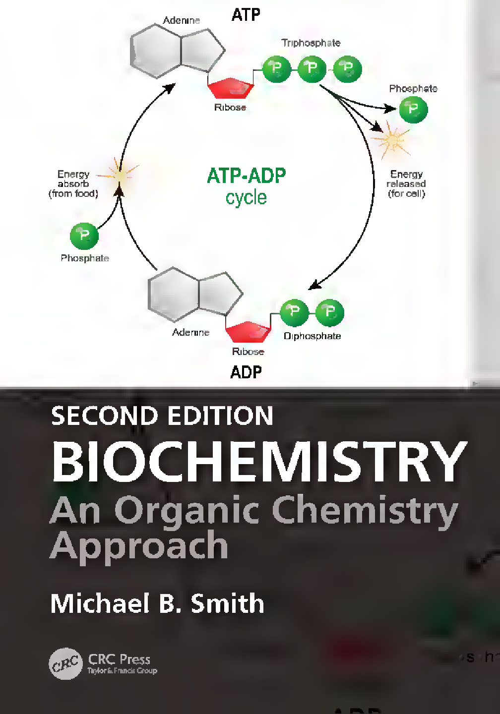 Comprehensive Academic Study Guide for the 2026/2027 Academic Year Featuring Updated Content and Strategic Learning Resources