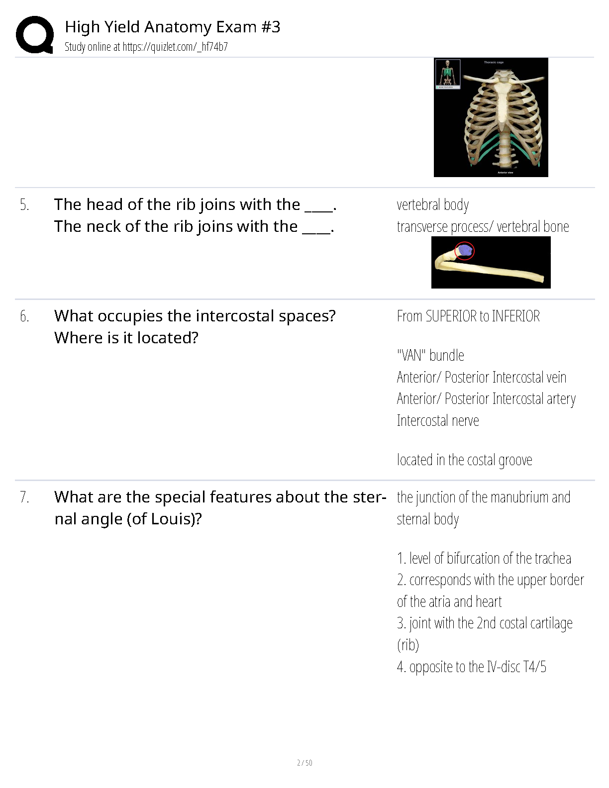 High Yield Anatomy Exam #3: Comprehensive Q&A Elaboration for 2025/2026 ...